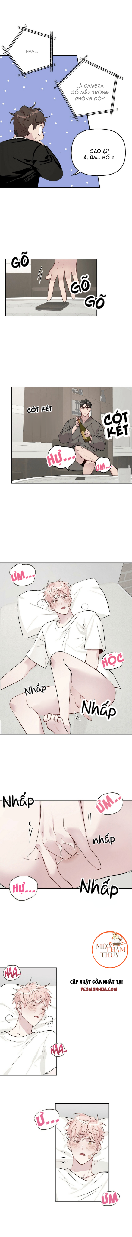 bạn có tò mò về bài review? chapter 12 5