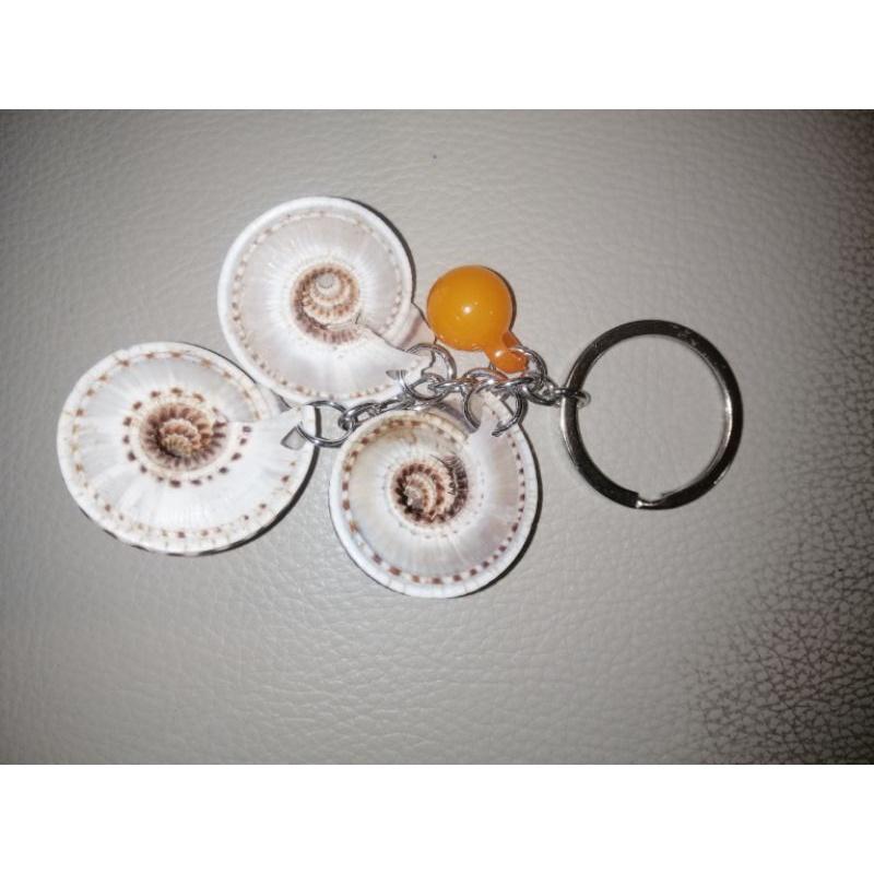 MÓC KHÓA VỎ ỐC CUỐN CHIẾU