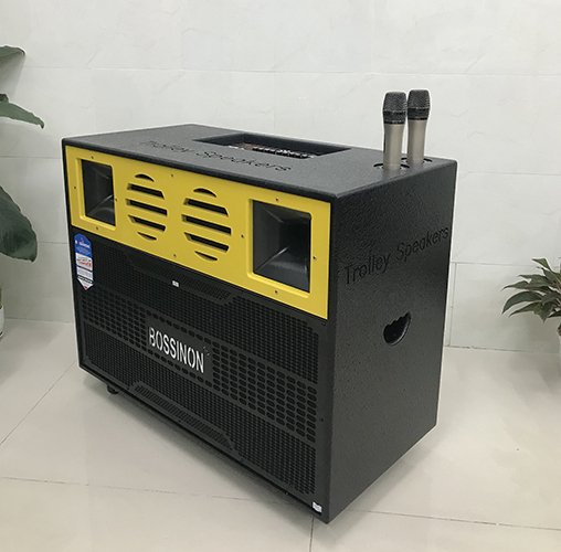 Loa Bossinon TS-15A700K - Hàng Chính Hãng