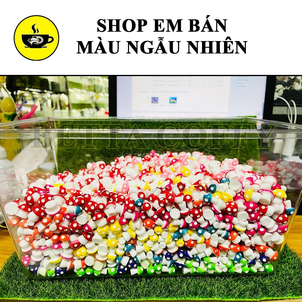 Cây Nấm Mini - trang trí bể cá, terrarium giao màu ngẫu nhiên