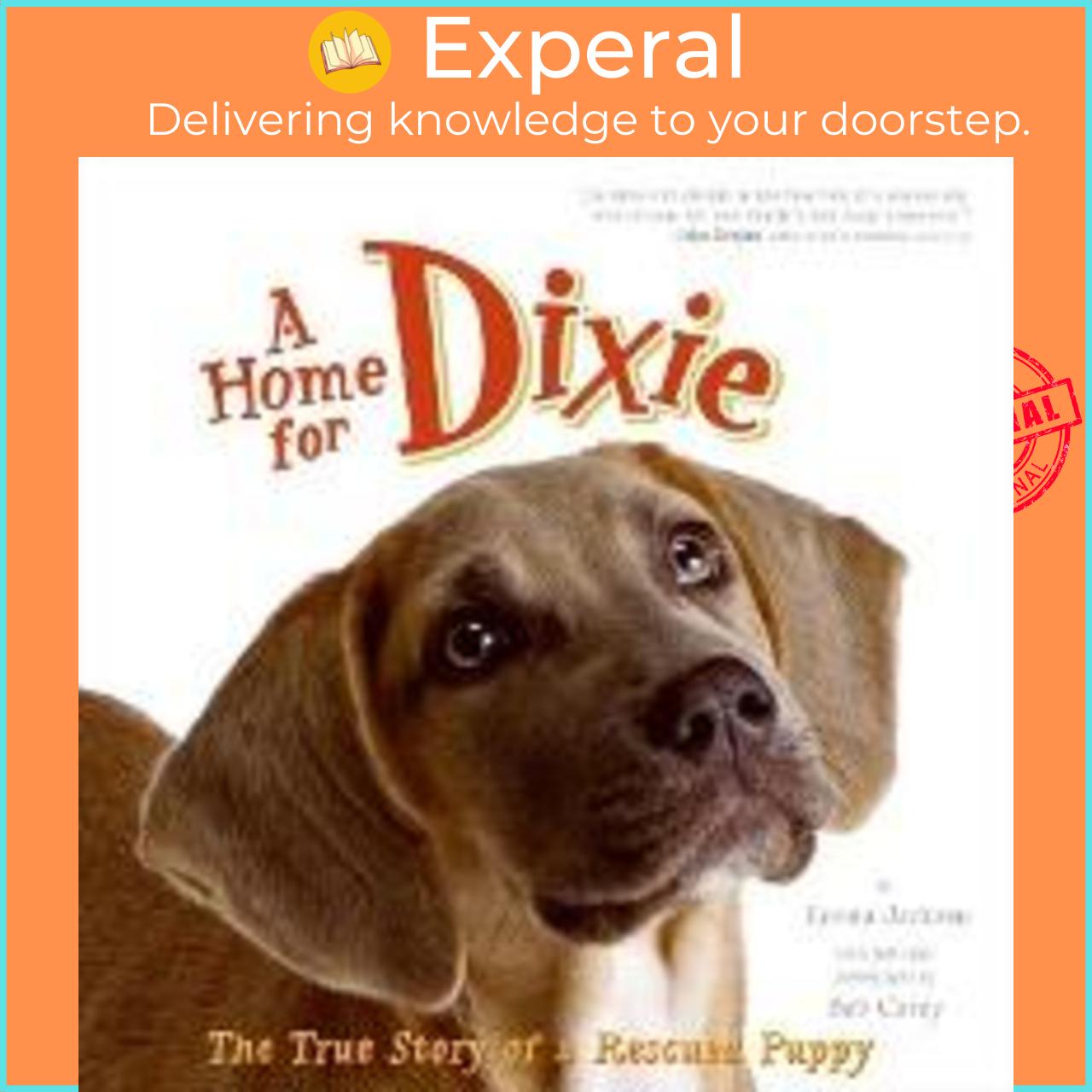 Sách - A Home For Dixie by Bob Carey Emma Jackson