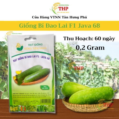 Hạt giống Bí Đao Lai F1 Java 68 | Hạt Giống | gói 2 gr