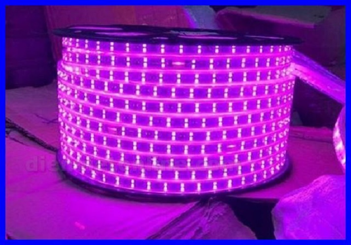 Đèn led dây 2835 2 hàng bóng Màu Hồng loại tốt