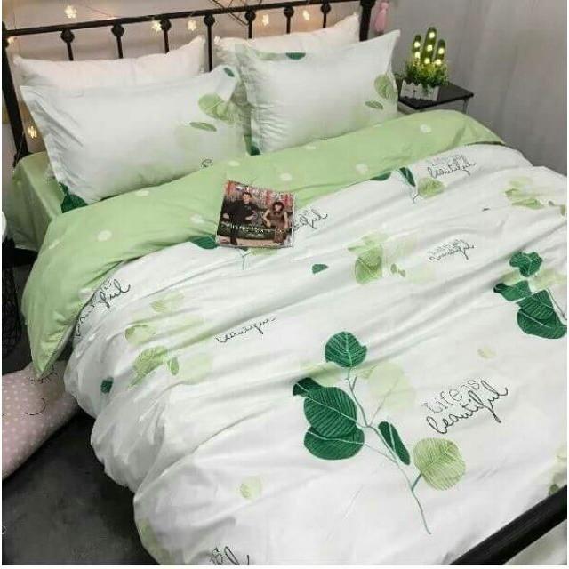 Bộ Chăn Ga Gối Cotton Poly Hàn PLX38 H2 Store không co rút sợi dễ thương ưa nhìn