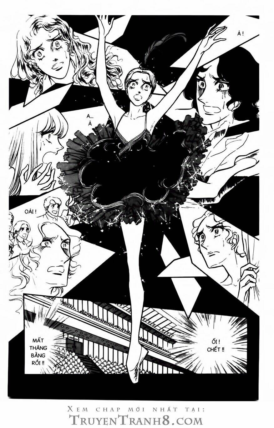 swan - vũ khúc thiên nga chapter 82 15