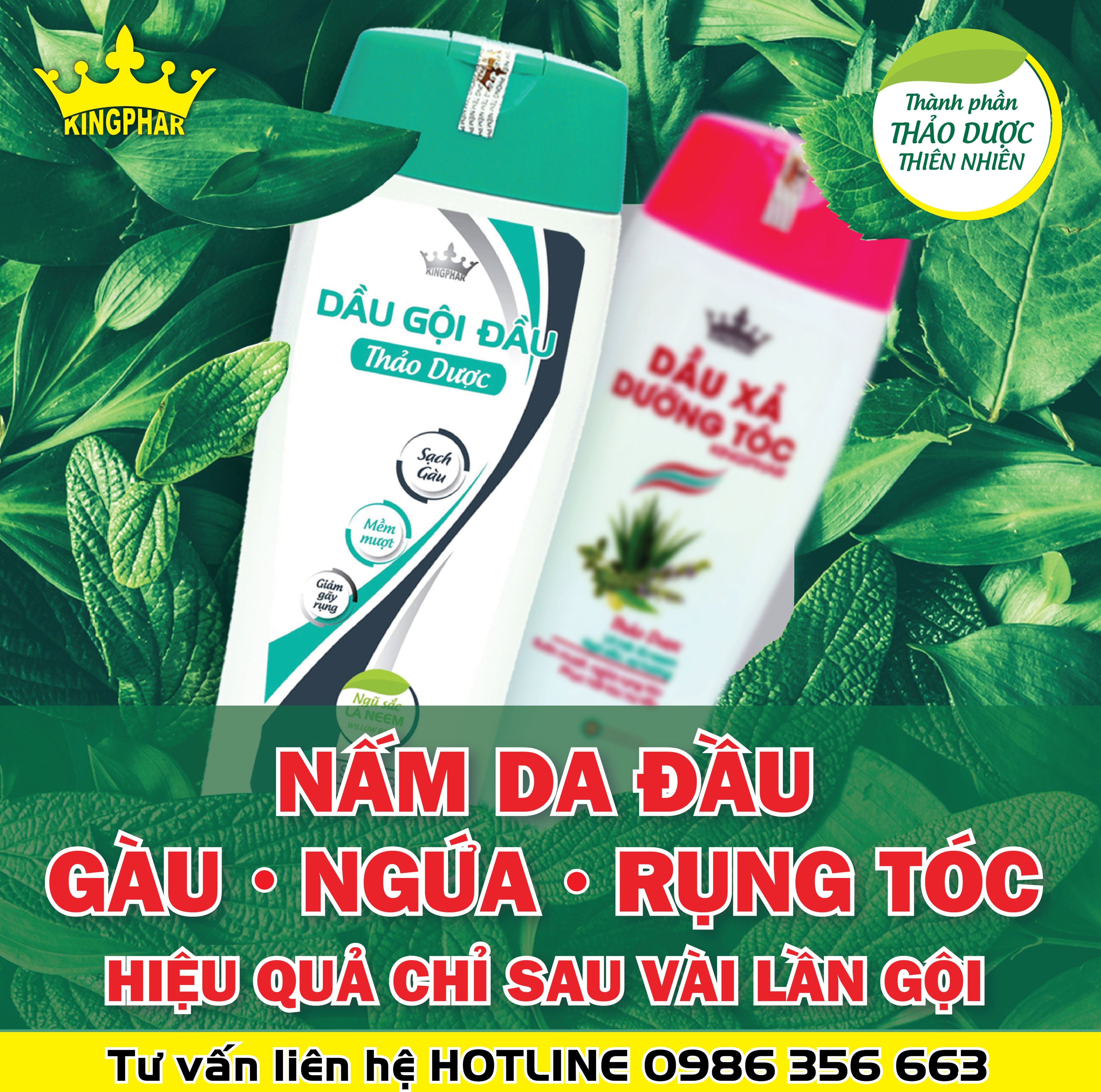 Dầu xả dưỡng tóc thảo dược Kingphar, chai 200ml, phục hồi và bảo vệ tóc