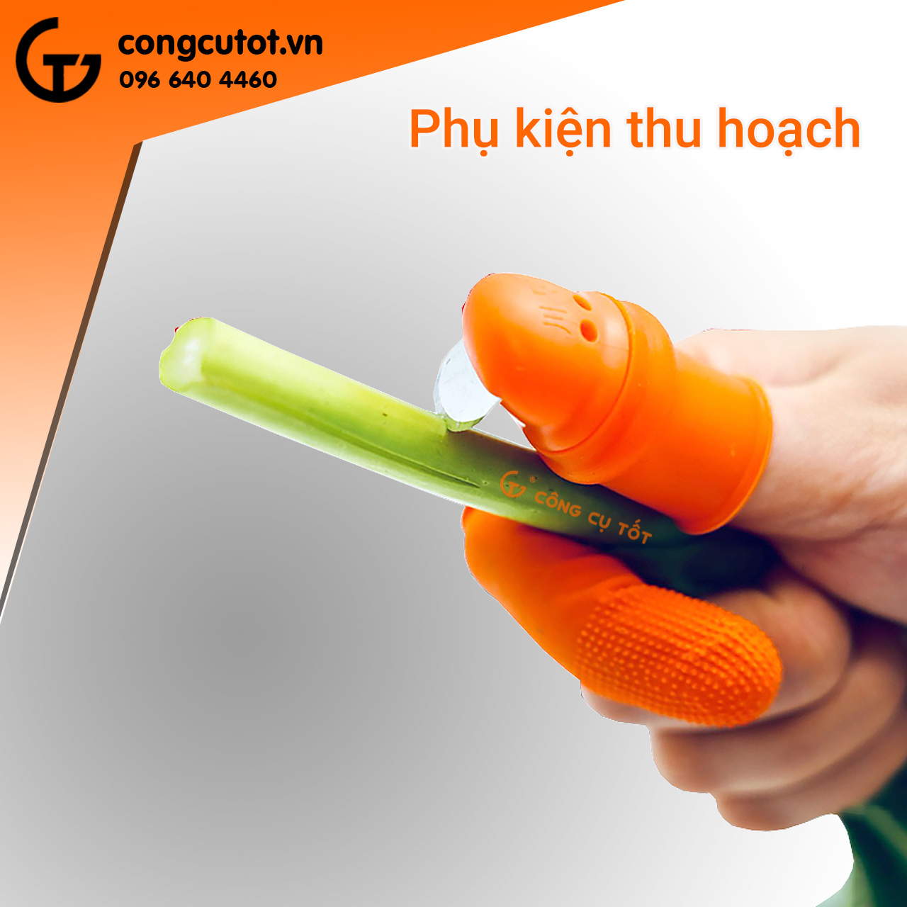 Móng tay thu hoạch nam loại ngang