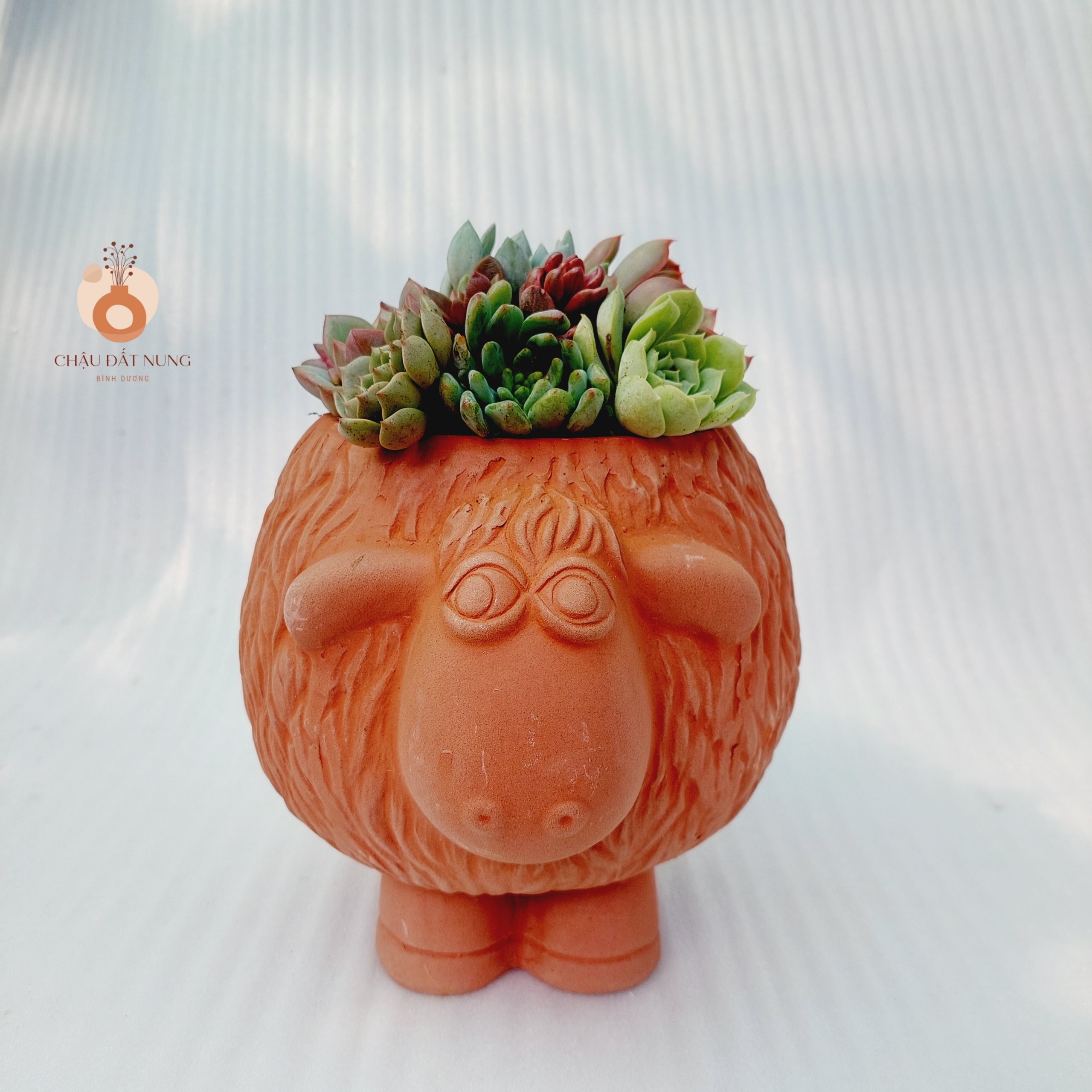 Chậu đất nung Bình Dương - Cừu Mập Heo, miệng chậu 12cm, chiều cao 17cm