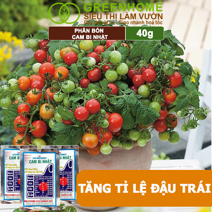 Phân Bón Lá Trung Vi Lượng CamBi Nhật, GreenHome,Gói 40Gr, Siêu Tăng Trưởng Cho Cây Trồng