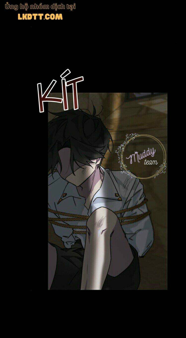 ta đã từng mong nàng biến mất chapter 15 20