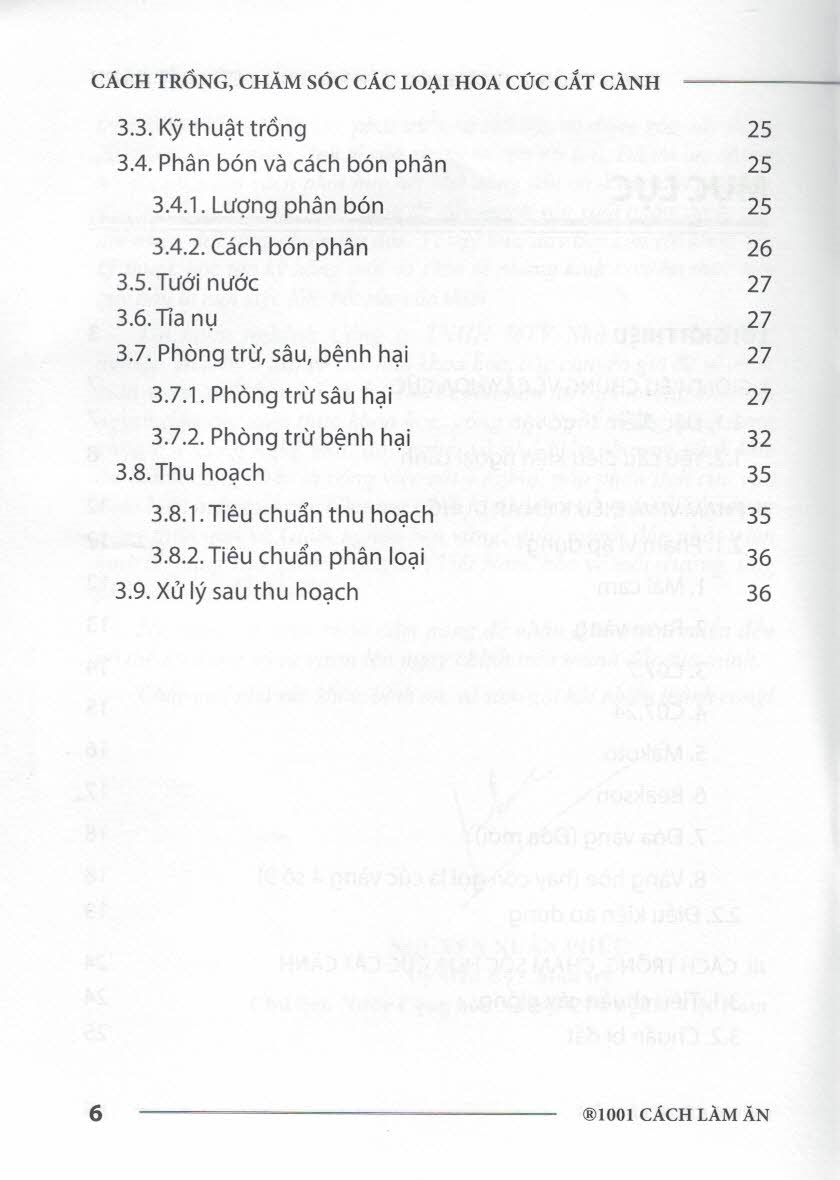 Hình ảnh Cách Trồng, Chăm Sóc CÁC LOẠI HOA CÚC CẮT CÀNH