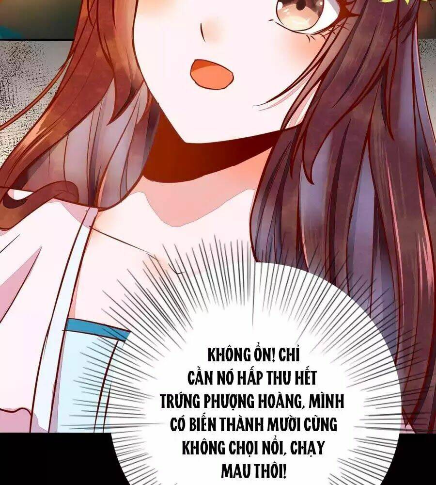 thần y khí nữ: ngự thú cuồng phi của quỷ đế chapter 69 74