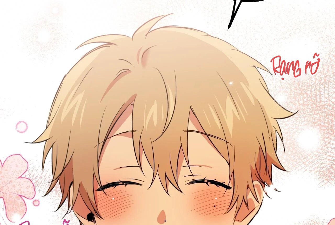 những chú thỏ của hapypy chapter 65 151