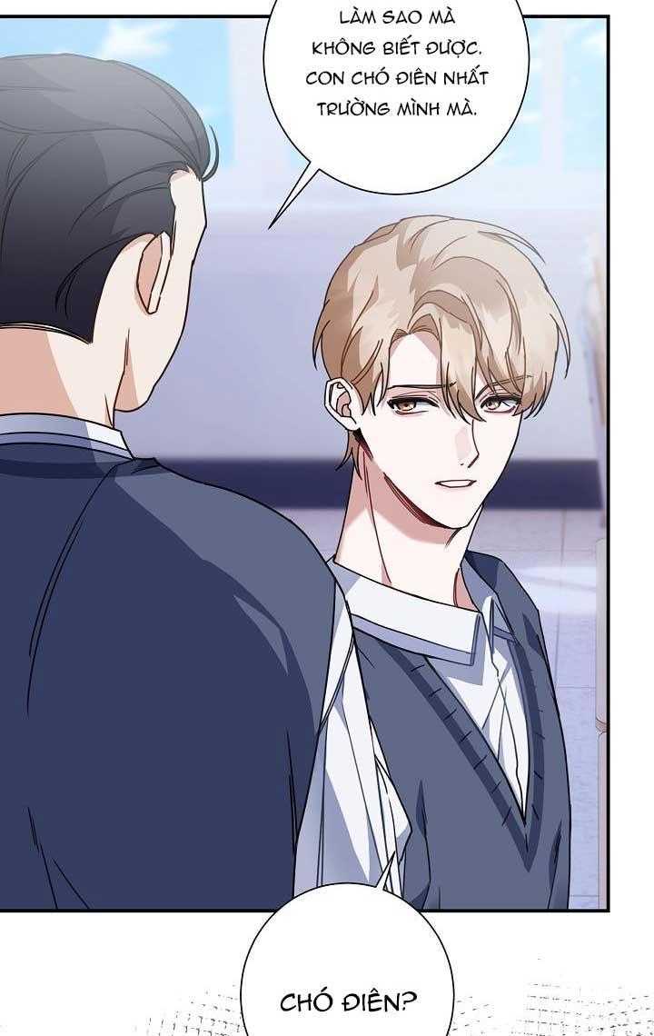 vùng đặc quyền tình yêu chapter 7 9