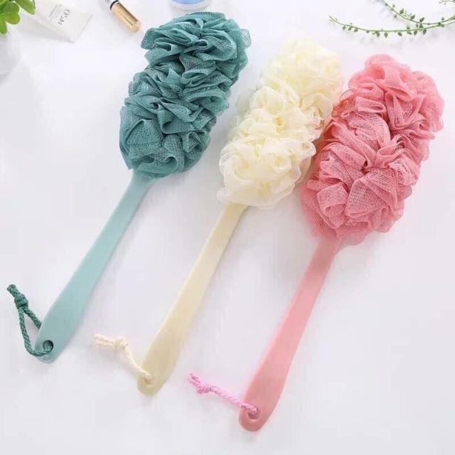 Cây chà lưng Hàn Quốc