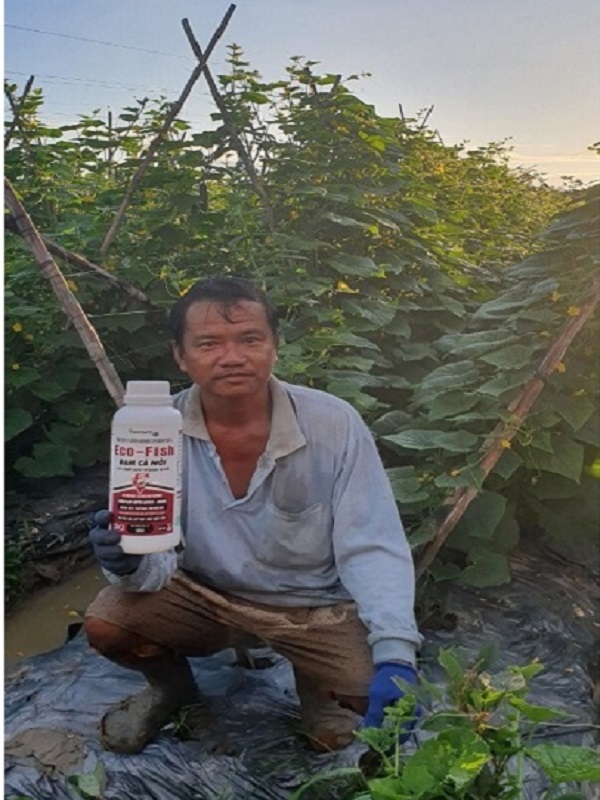 Ecofish Đạm cá thủy phân, chuyên dùng cho cây ăn trái phát triển bộ RỄ. Chai 1 Lít