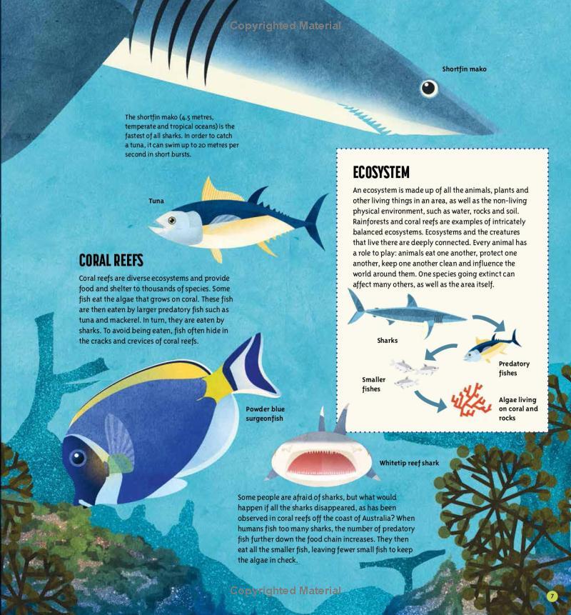 Amazing Animals: 100+ Creatures That Will Boggle Your Mind