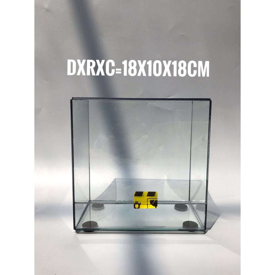 Bể Terrarium Đa Giác Setup Bán Cạn Để Bàn Làm Việc Mở Được Cánh Cửa