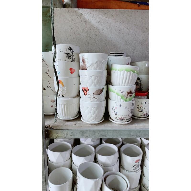 Chậu Trồng Cây