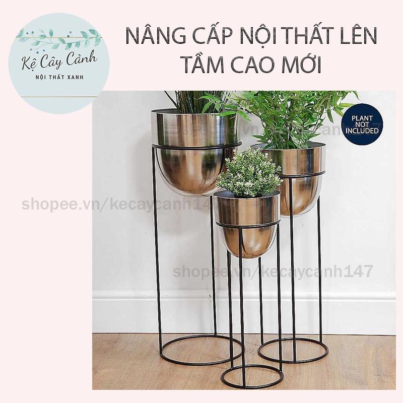 KỆ CÂY CẢNH CHÂN TRÒN SANG TRỌNG PHỤ KIỆN KHÔNG THỂ THIẾU CHO NỘI THẤT HIỆN ĐẠI