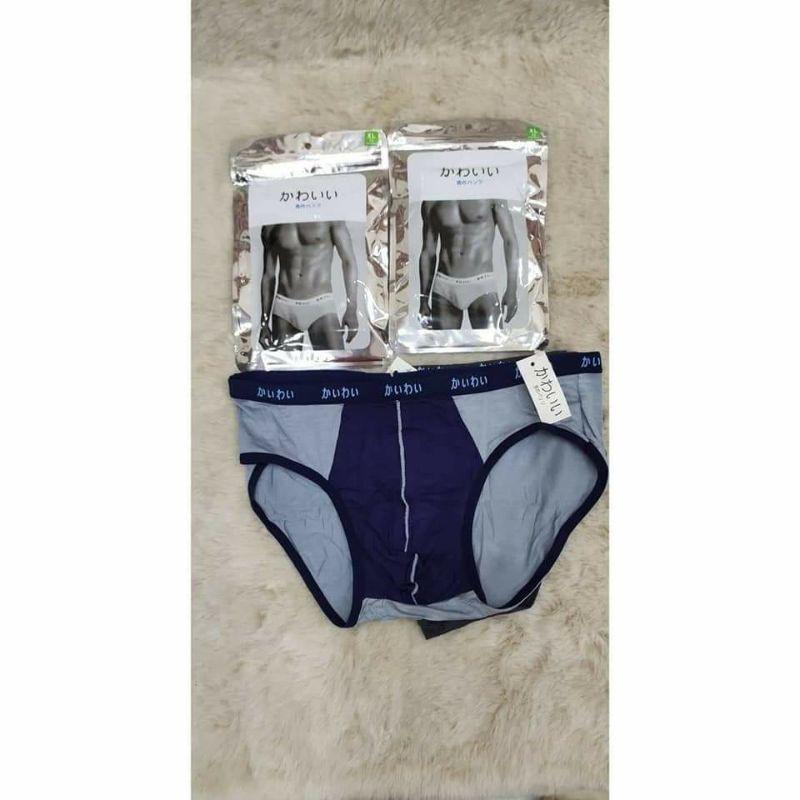 Quần sịp nam tam giác cotton co giãn mỏng mát - SN01