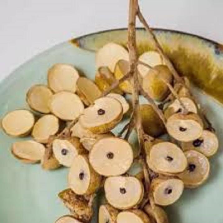 CÂY GIỐNG NHÃN KHÔNG HẠT THÁI LAN SIÊU NGON SIÊU QUẢ- CAM KÊT GIỐNG CHUẨN F1