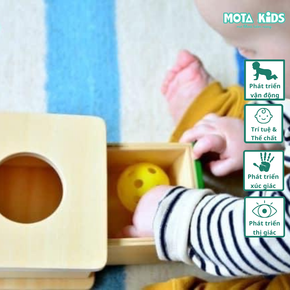 Đồ chơi hộp thả bóng có ngăn kéo cho bé từ 9-12 tháng Montessori Mota- Rèn sự tập trung & đôi tay- Hàng chính hãng