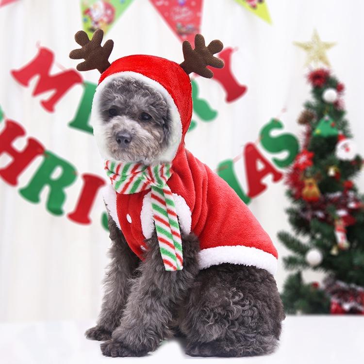 Áo hoodie Giáng Sinh, Noel dành cho chó mèo