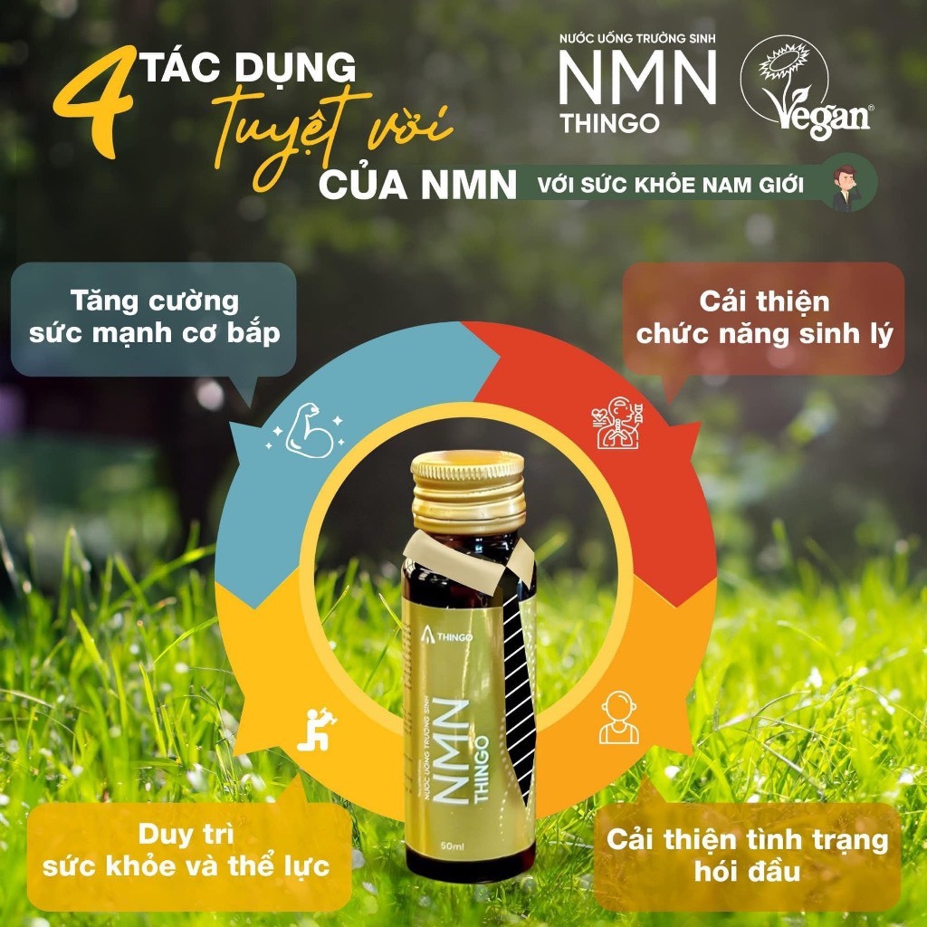 NMN Thingo - Liệu trình 1 tháng 3 hộp NMN tặng quà Túi hoặc Ly sứ cao cấp - Hàng chính hãng