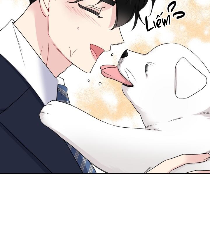 xác suất tình yêu chapter 66 76