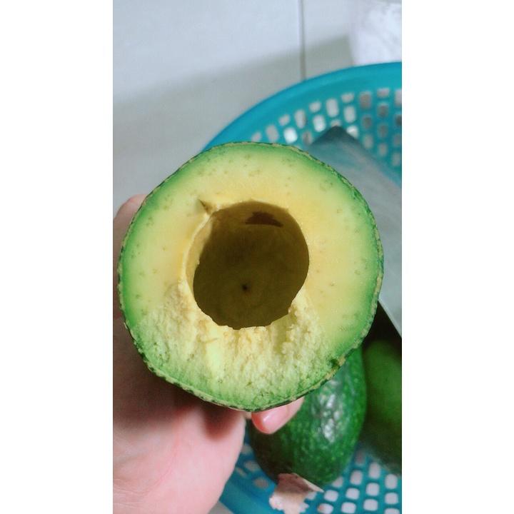 Bơ Lớn Ngon 45k/kg