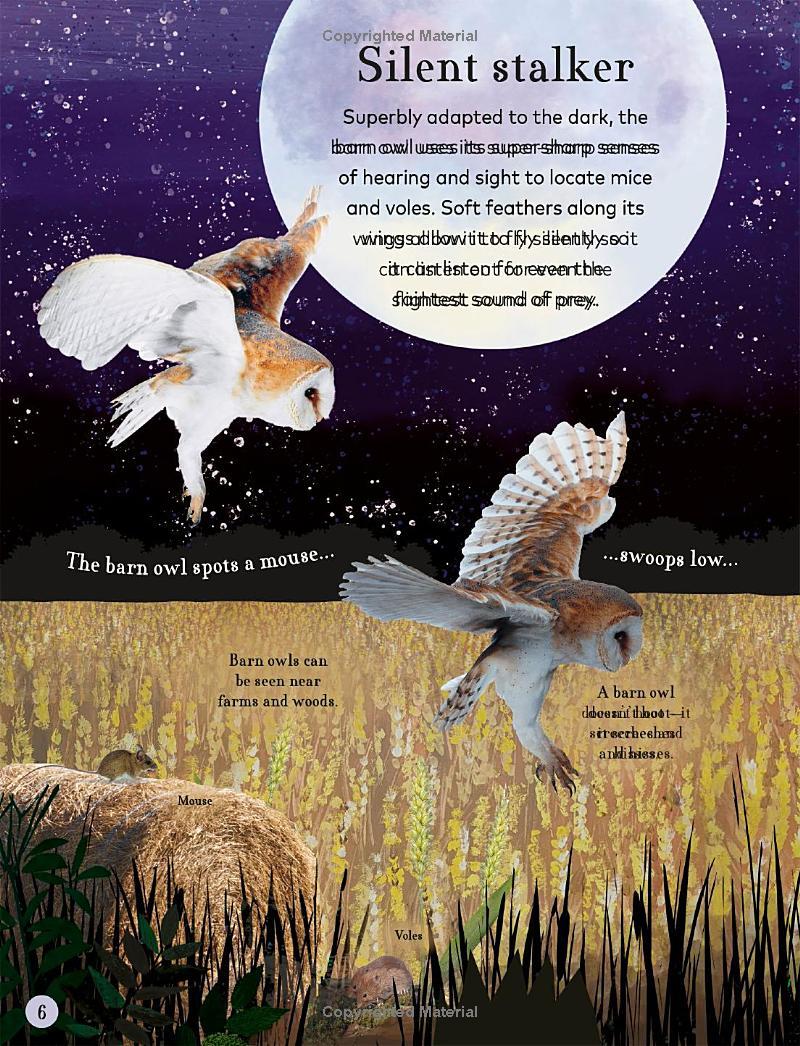 Through The Night Sky: A Collection Of Amazing Adventures Under The Stars