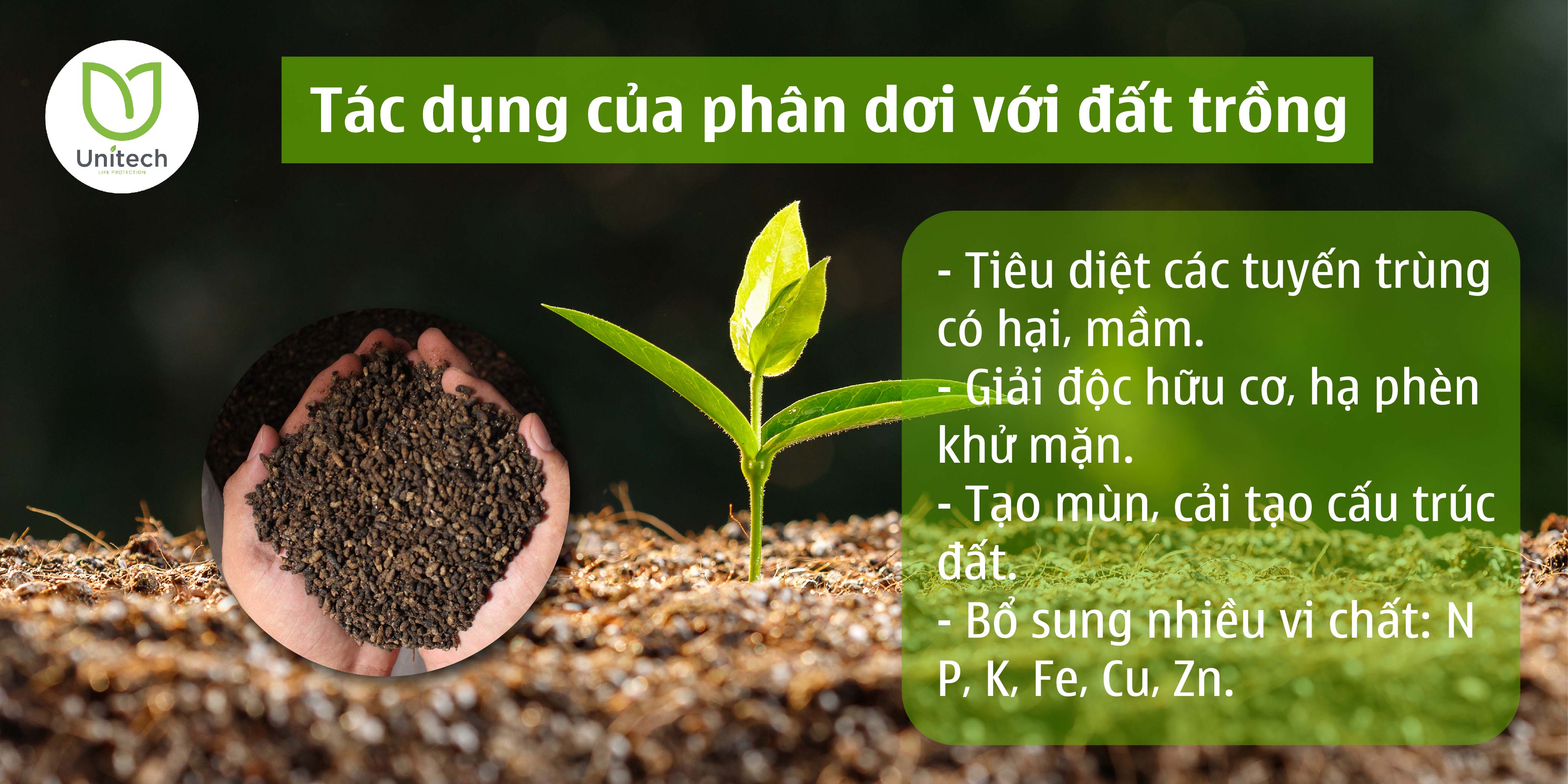 Phân dơi khô nguyên chất | Dơi nuôi tự nhiên, còn nguyên hạt, nhẹ và không bị hôi