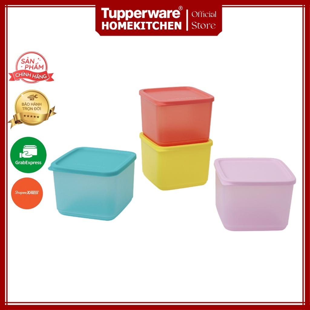 Bộ Hộp Tupperware Trữ Mát Colorful Rectangular set 4 Hộp 1.9L
