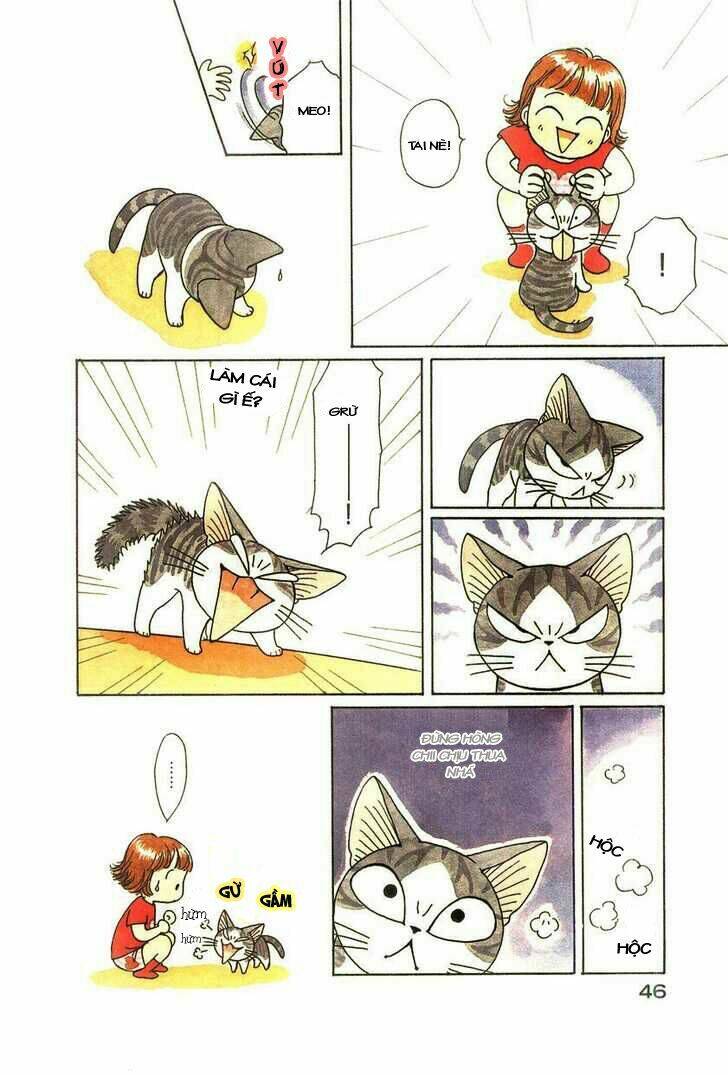 chi's sweet home chapter 44 7