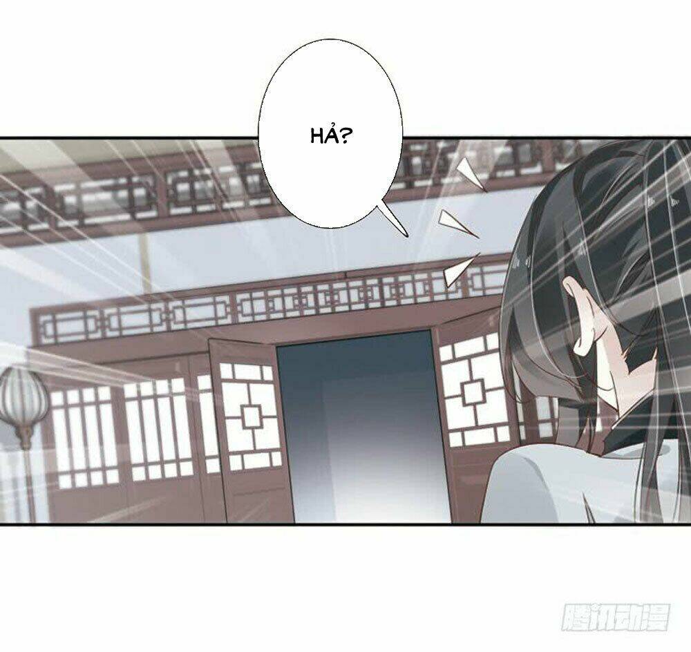 thiền tâm vấn đạo chapter 37 40