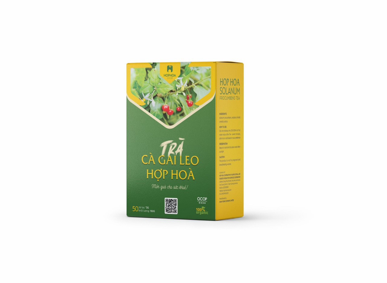 &quot;Mẫu Mới&quot; Trà Cà Gai Leo Hợp Hòa - Cà gai leo+Xạ đen+Cỏ Ngọt - 50 túi lọc - OCOP 4 Sao