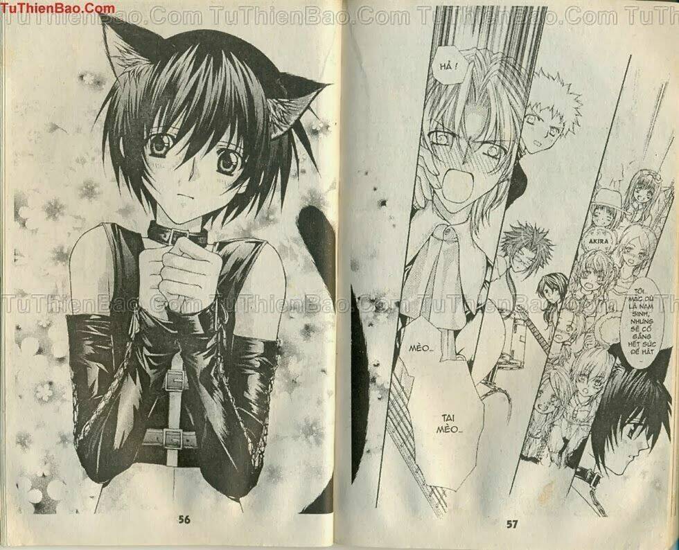 mối tình hoa hồng xanh chapter 6 27