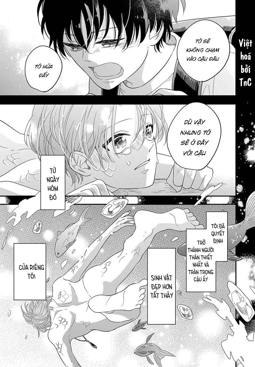 chạm tới trái tim tiên cá chapter 0 15