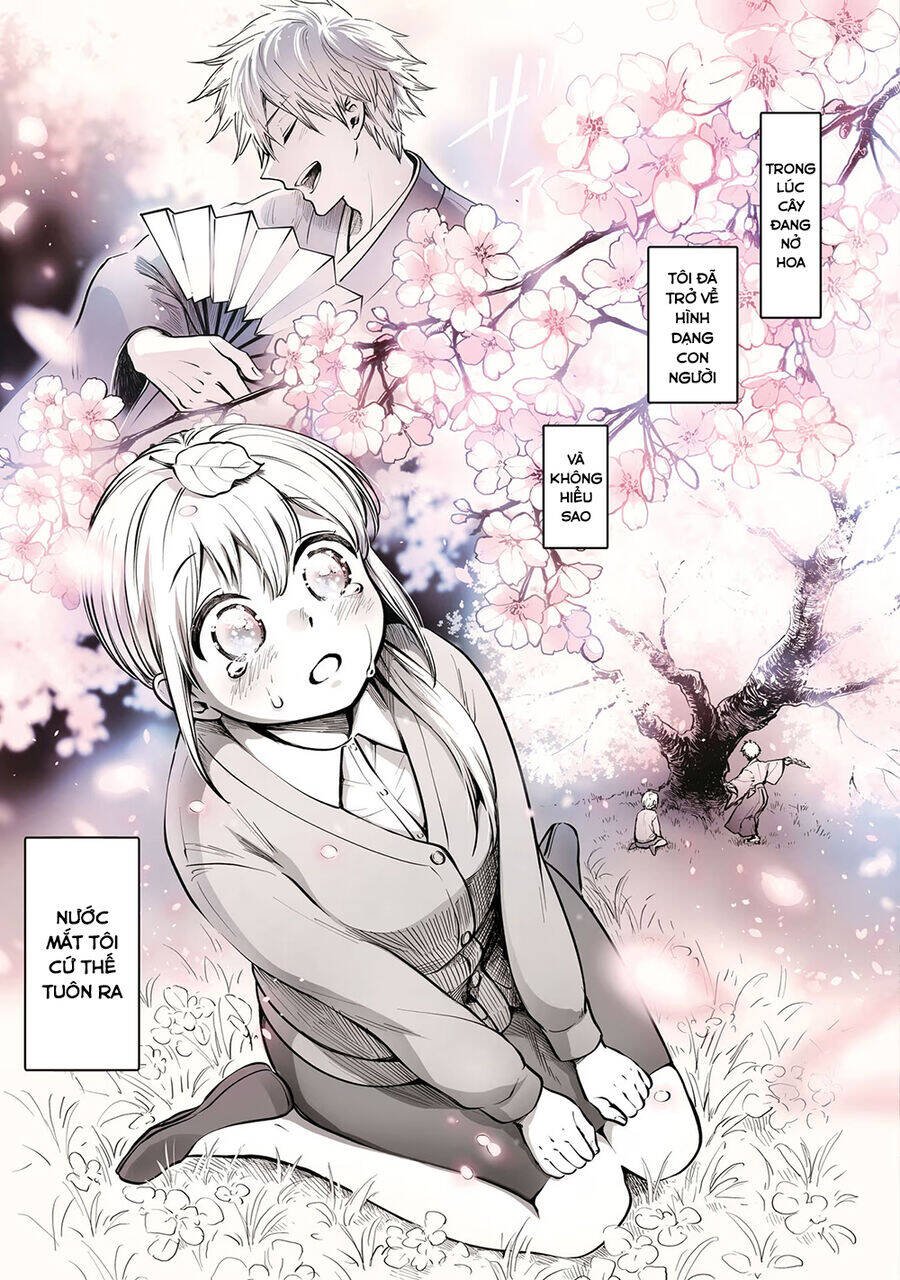 omae, tanuki ni naranee ka? chapter 18 7
