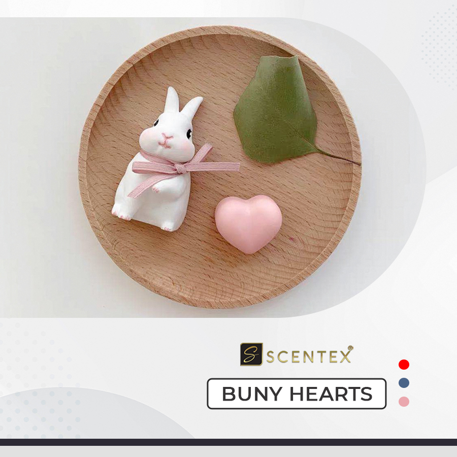 Nước hoa xe hơi cao cấp Scentex Buny Hearts 100% Organic, được làm từ chất liệu đá Aroma Stone đặc biệt, dễ dàng thẩm thấu và khuếch tán mùi hương theo cửa gió điều hòa, khử mùi, diệt khuẩn hiệt quả - Hàng Chính Hãng