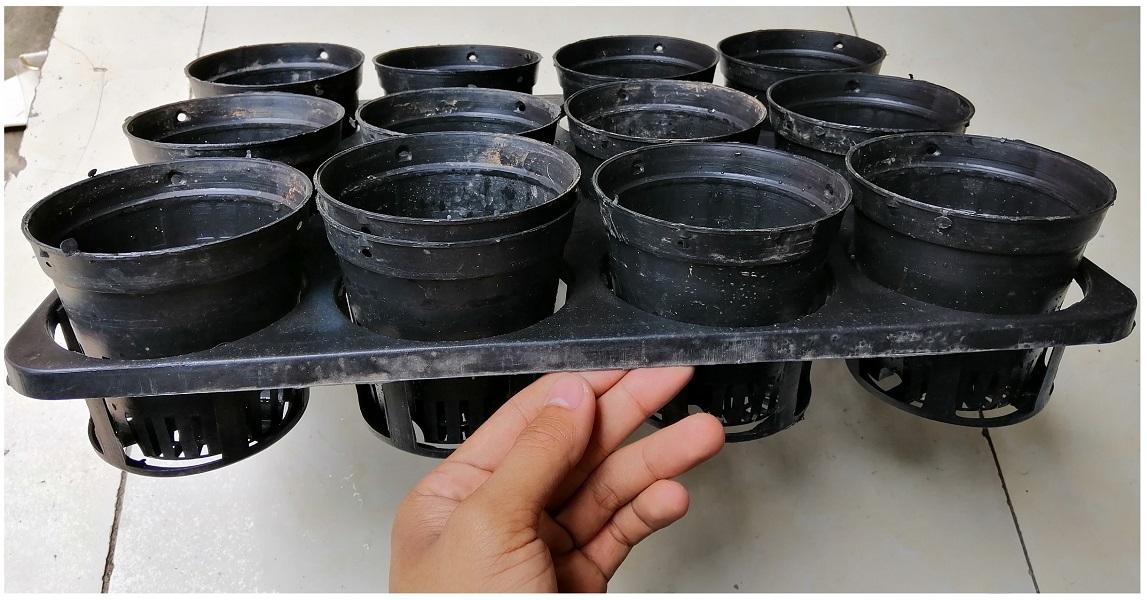COMBO 2KHAY NHỰA CỨNG 12 LỖ + 24 CHẬU NHỰA FI 10CM TRỒNG RAU ƯƠM MẦM