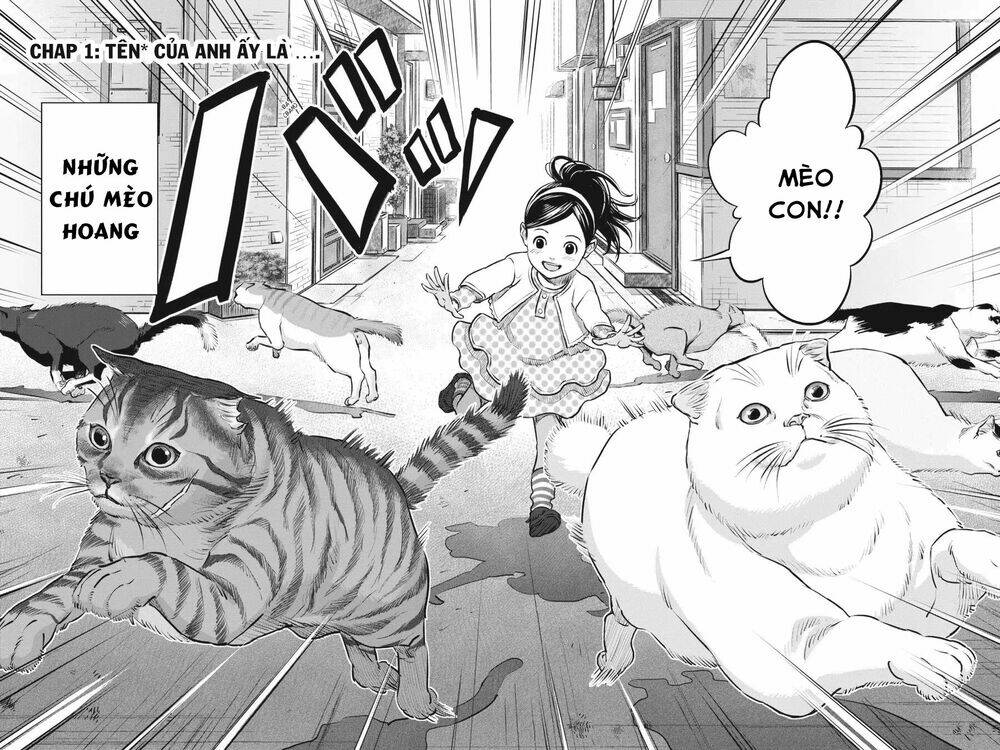 nyankees chapter 1 8