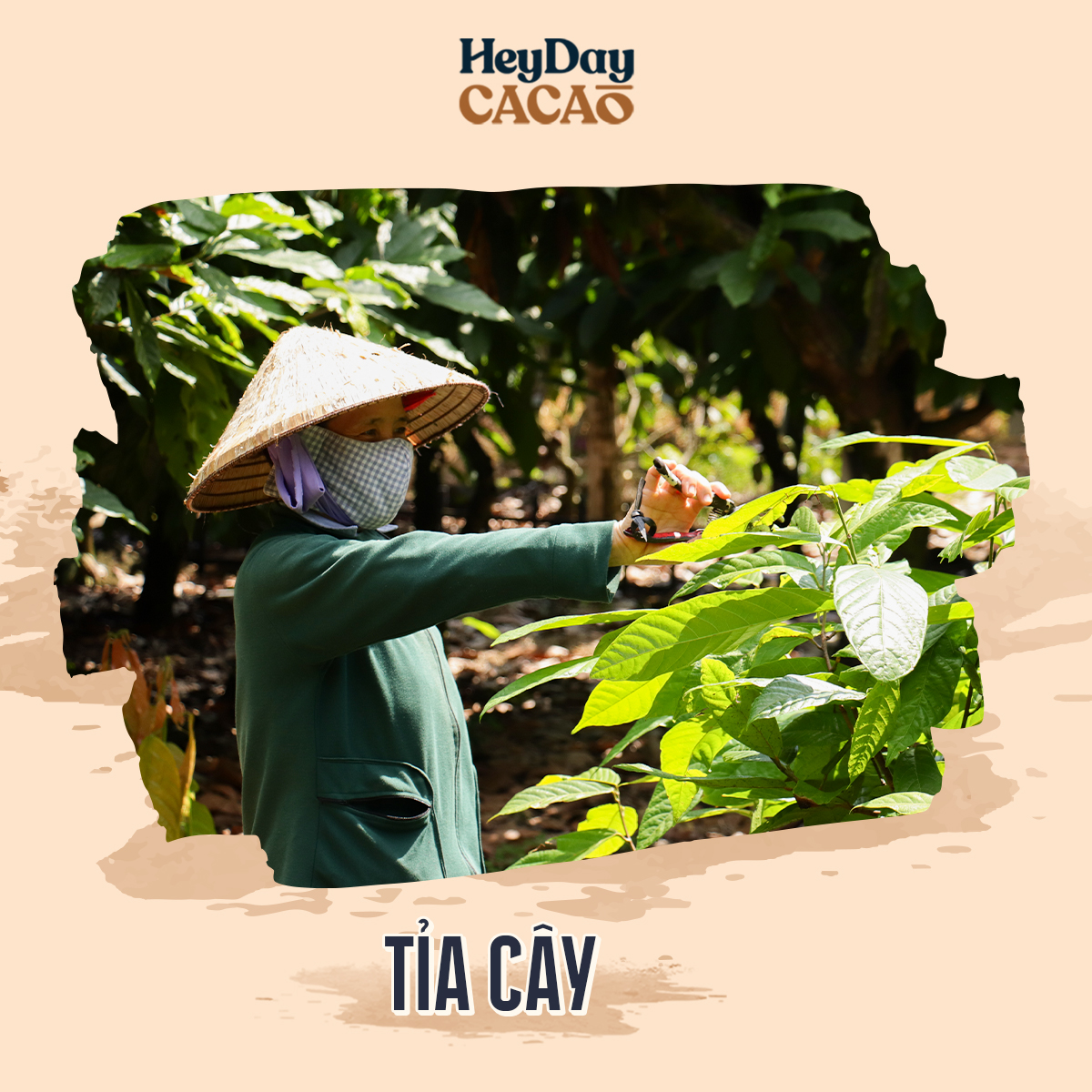 Bột cacao nguyên chất 100% Việt Nam - Dòng Balanced phổ thông túi 500g - Chuyên dùng làm bánh, pha chế cho quán cà phê - Heyday Cacao