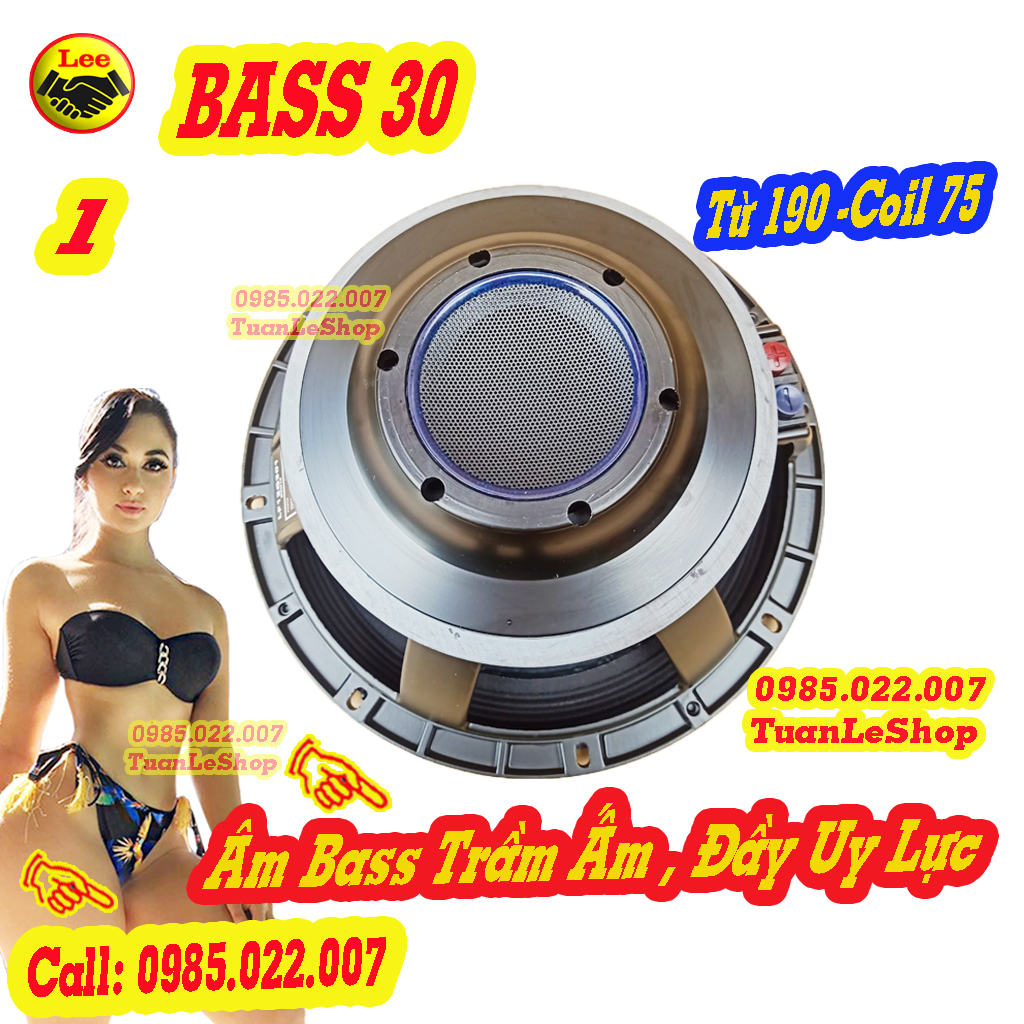 1 CỦ BASS 30 CÔN 75 NHẬP KHẨU - GIÁ 01 CHIẾC - TỪ 190 COIL 75MM - CỦ LOA 3 TẤC - Đít Lồi