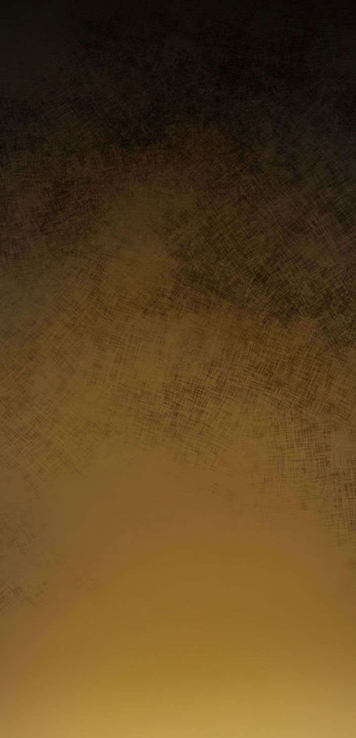 cách để cứu rỗi anh trai của nữ chính chapter 13 51