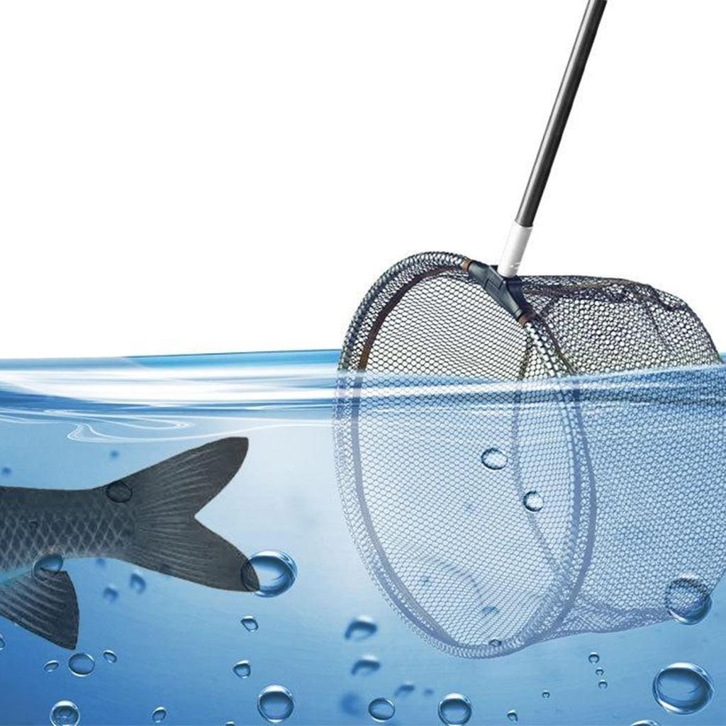 Trout Carp Coarse Fishing Landing Replacement Net 35cm