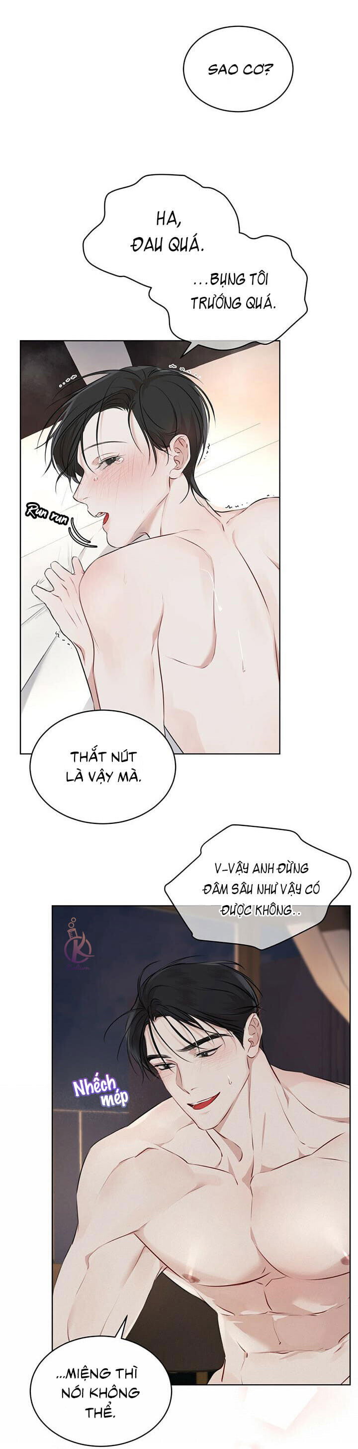 hình thái khởi sinh chapter 28 28