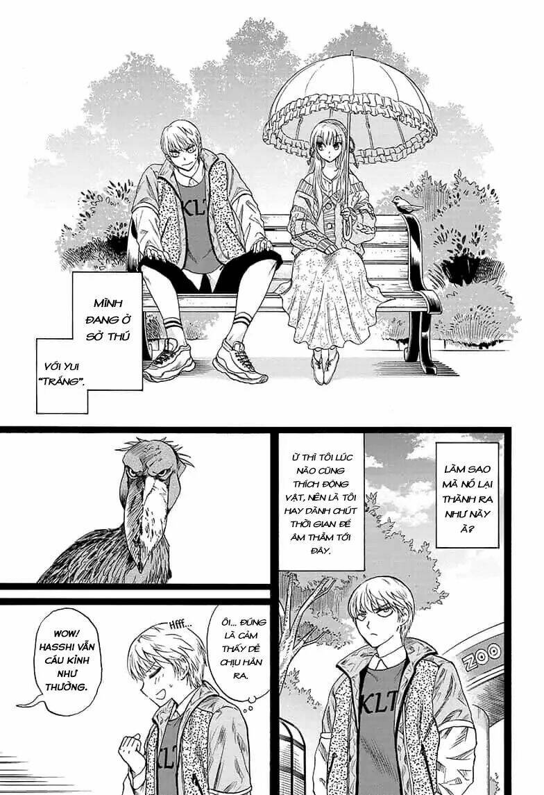 yui kamio lets loose chapter 5 3