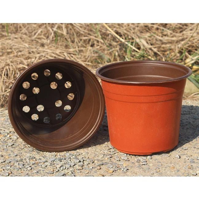 Set 5 chậu, set 10 chậu nhựa trồng cây hai màu, chậu nhựa mỏng màu nâu dùng trồng cây con, ươm hạt, ươm cây